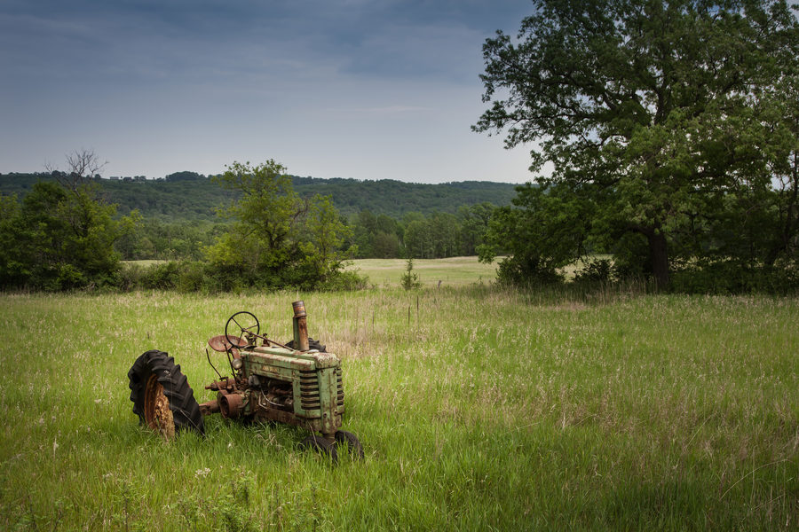 Landscapes, photo 3