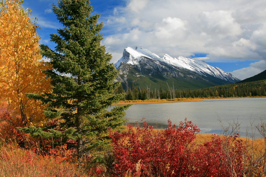 Landscapes, photo 15