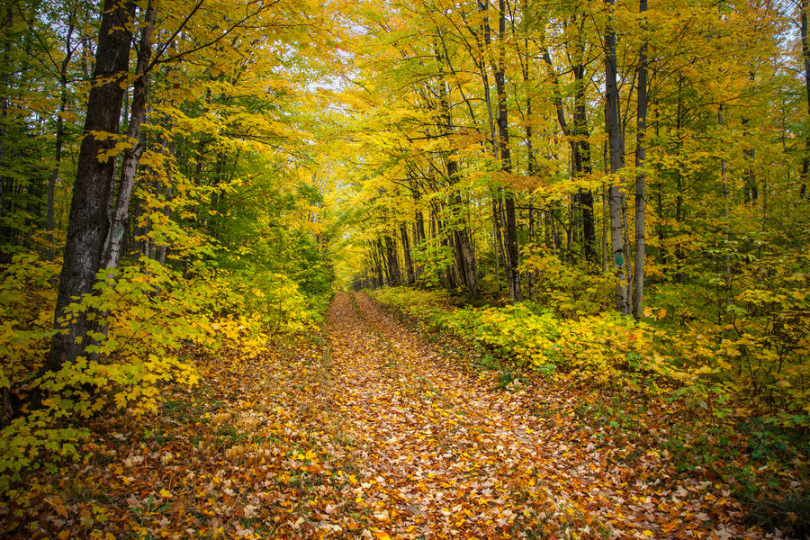 Landscapes, photo 35