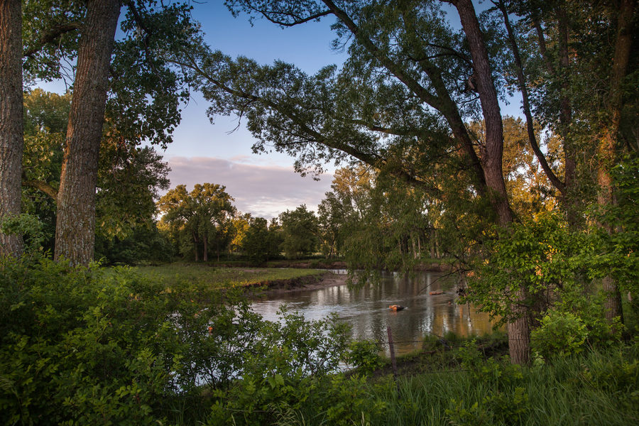 Minnesota, photo 33
